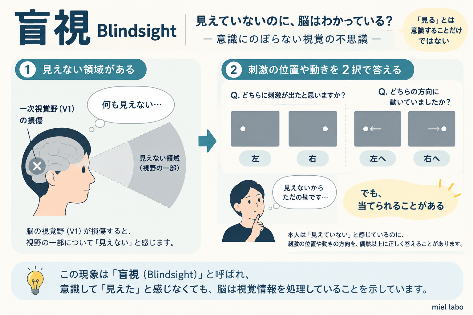 盲視の実験。本人は見えていないと感じていても刺激の位置や動きを偶然以上に正しく判断できることがある
